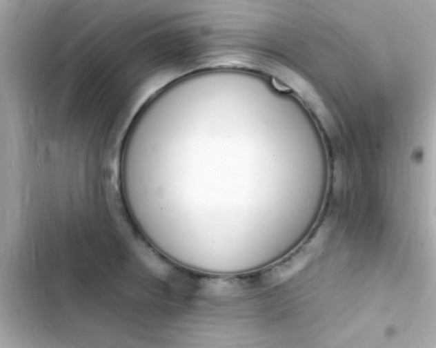 X0000103331234200809192157