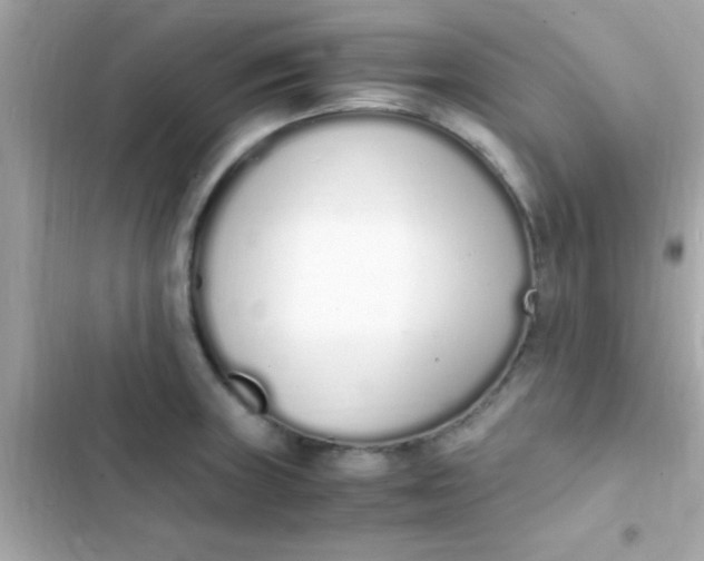 X0000103331235200809192157