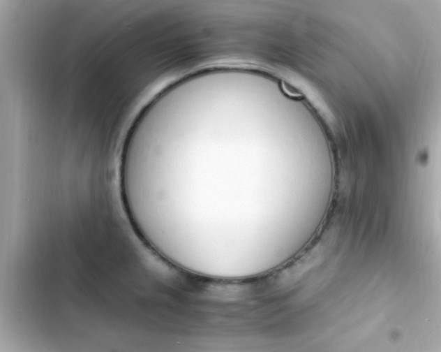 X0000103331237200809192157