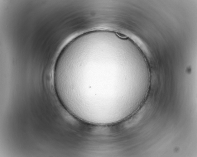 X0000103331238200809192157