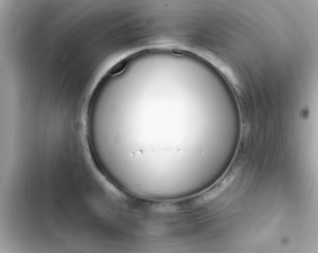 X0000103331239200809192157