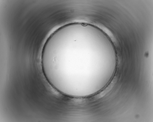 X0000103331240200809192157