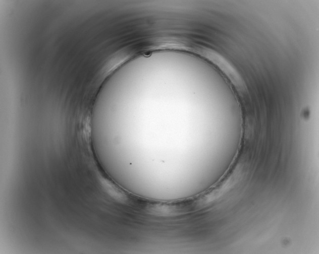 X0000103331241200809192157