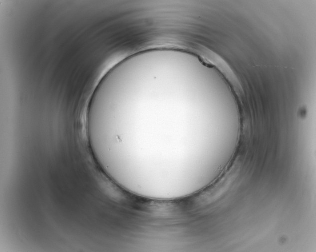 X0000103331242200809192157