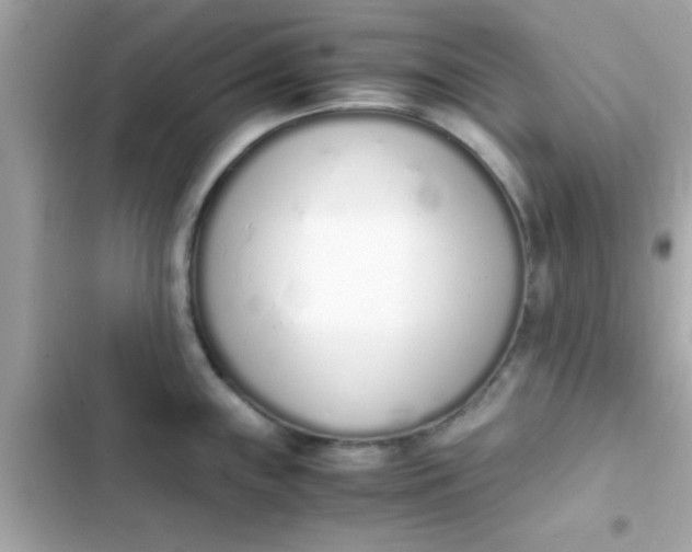 X0000103331243200809192157