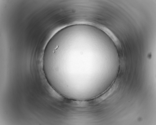 X0000103331244200809192157