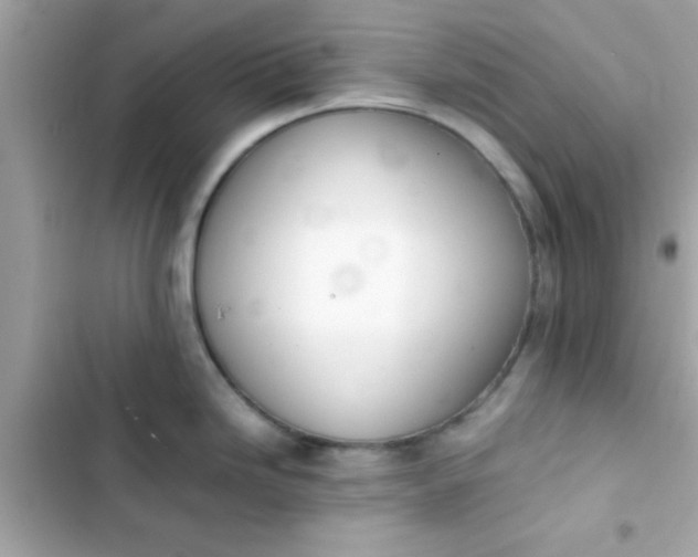 X0000103331246200809192157