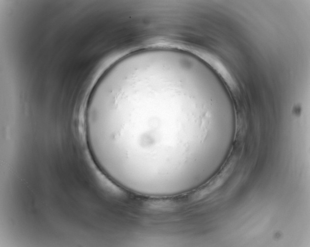 X0000103331247200809192157