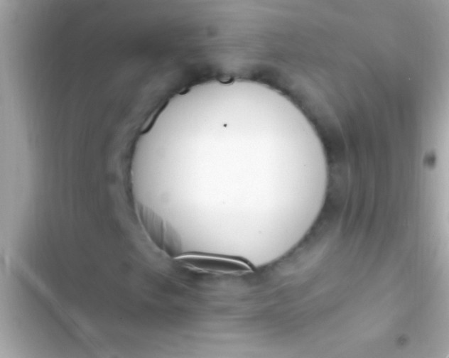 X0000103331249200809192156