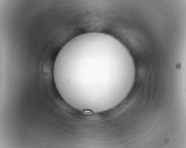 X0000103331250200809192156