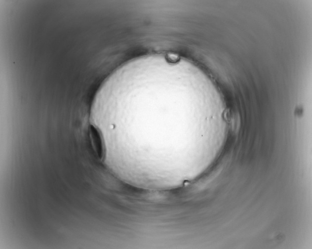 X0000103331251200809192156