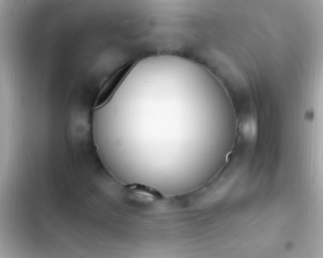 X0000103331252200809192156