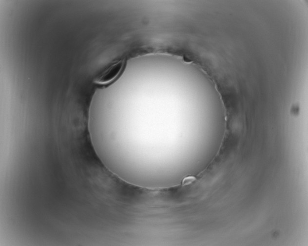 X0000103331253200809192156