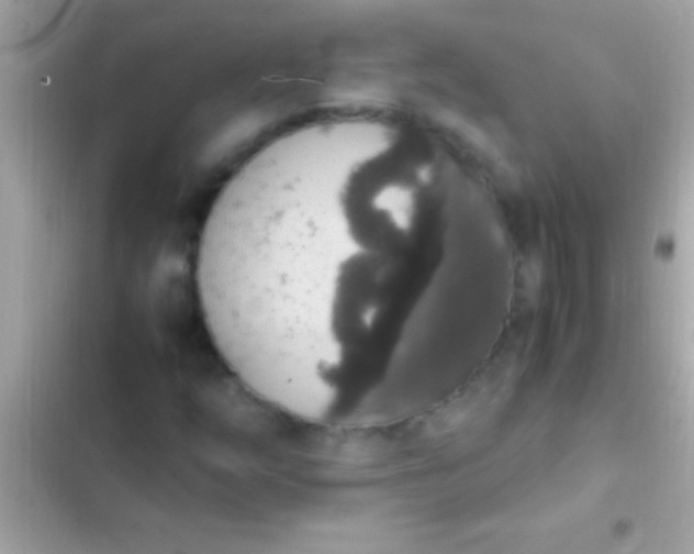 X0000103331254200809192156