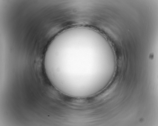 X0000103331257200809192156