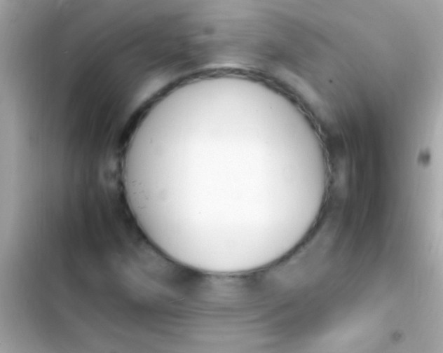 X0000103331258200809192156