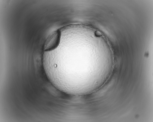 X0000103331259200809192156