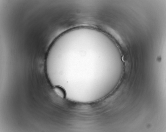 X0000103331260200809192156