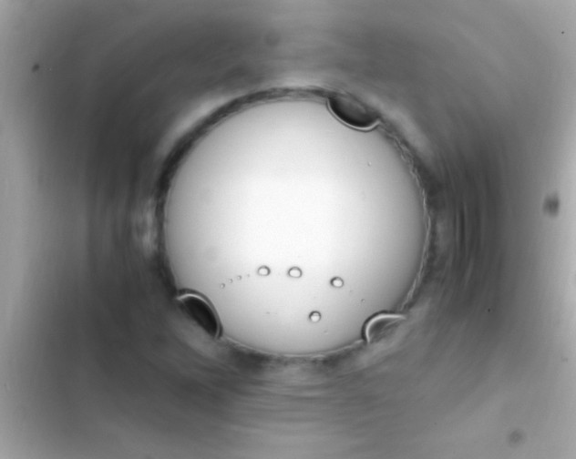 X0000103331262200809192156