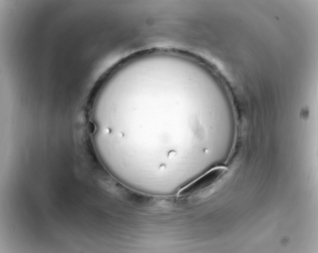 X0000103331263200809192156