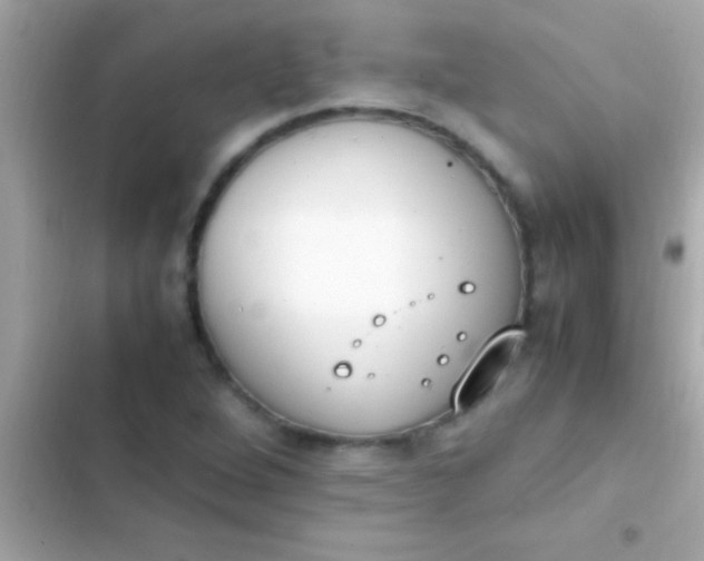 X0000103331264200809192156