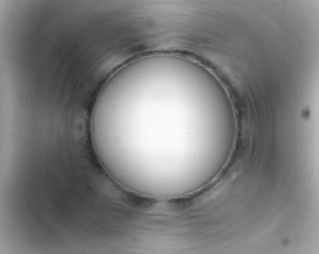 X0000103331265200809192156