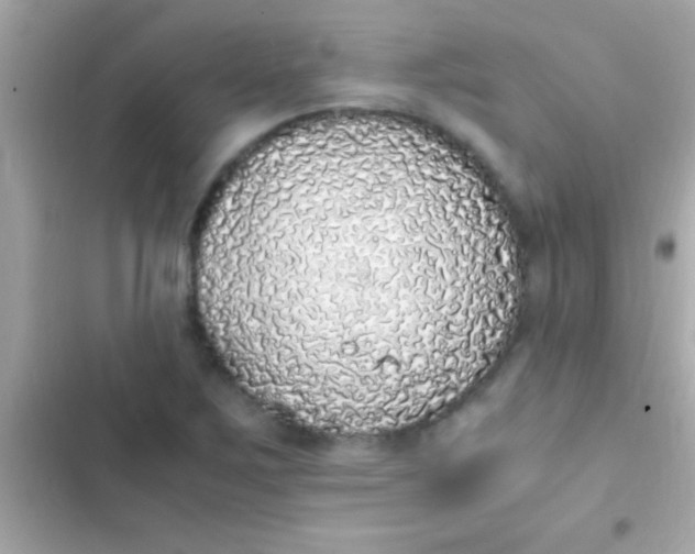 X0000103331267200809192156