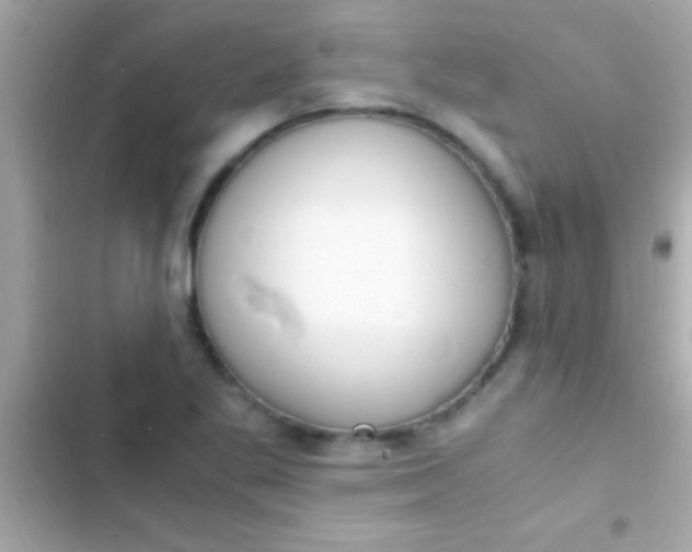 X0000103331269200809192156