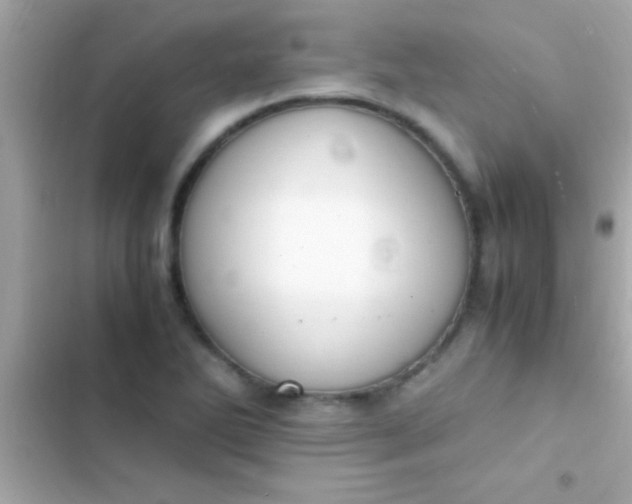 X0000103331270200809192156