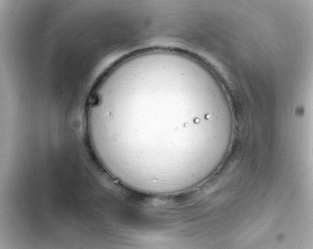 X0000103331271200809192156