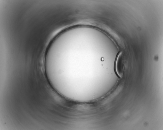 X0000103331272200809192156