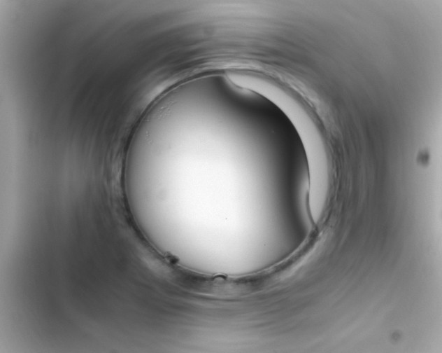 X0000103331273200809192156