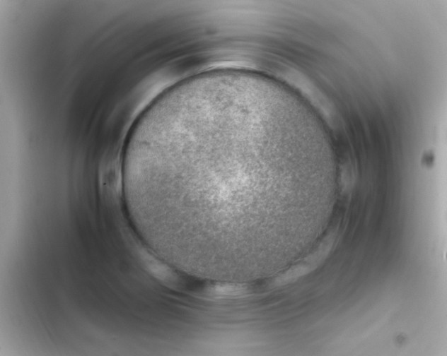 X0000103331274200809192156