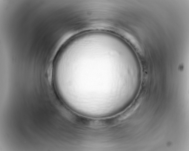 X0000103331275200809192156