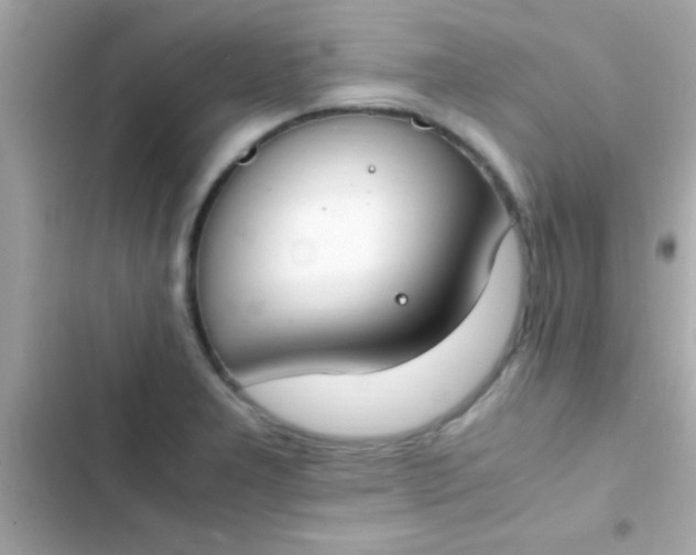 X0000103331277200809192156