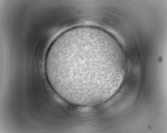 X0000103331278200809192156