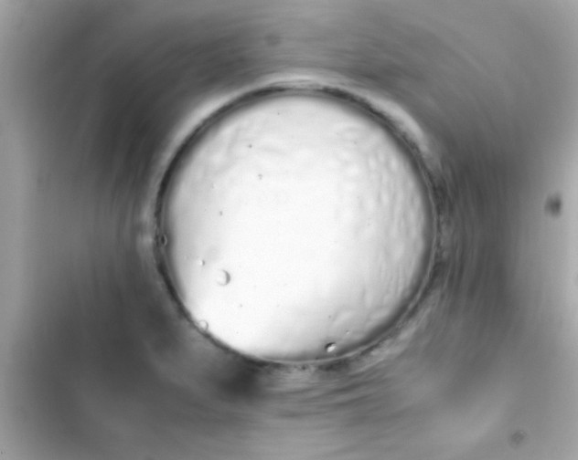 X0000103331279200809192156