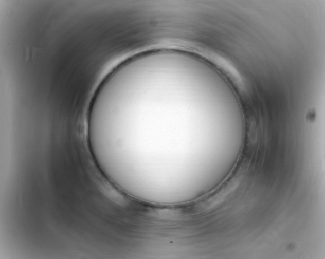 X0000103331280200809192155