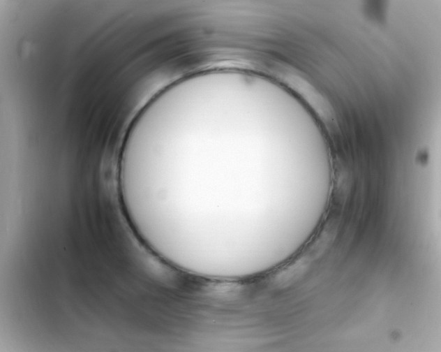 X0000103331282200809192155