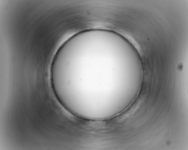 X0000103331285200809192155