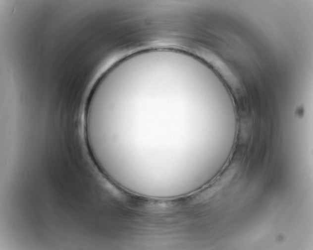 X0000103331286200809192155