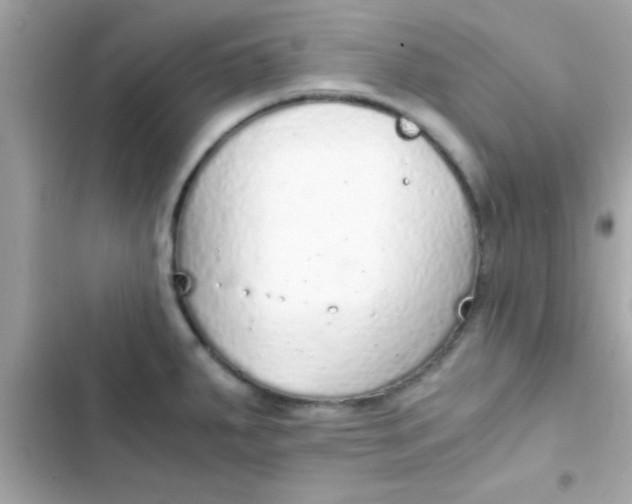 X0000103331287200809192155