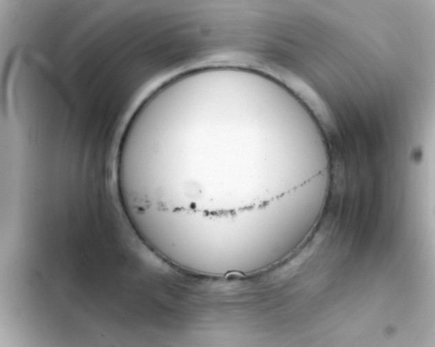 X0000103331288200809192155