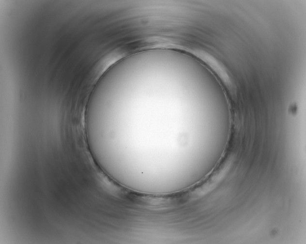 X0000103331289200809192155