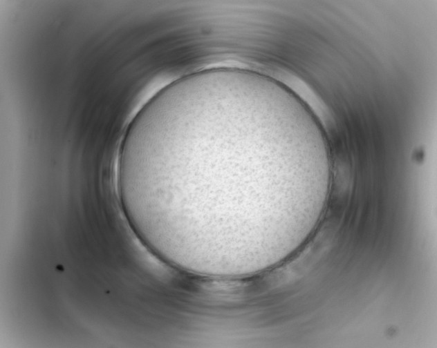 X0000103331290200809192155