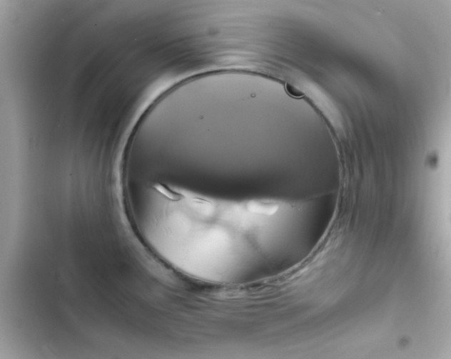 X0000103331291200809192155