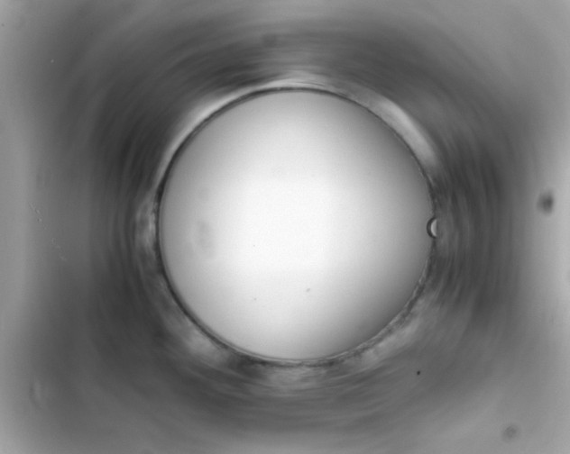 X0000103331292200809192155