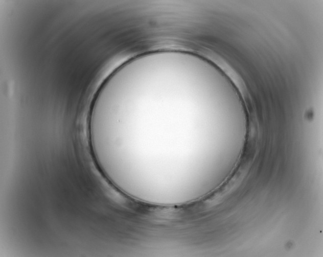 X0000103331293200809192155