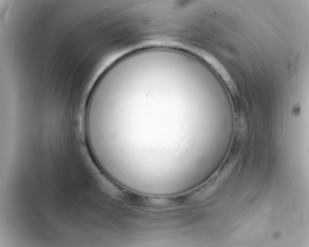 X0000103331295200809192155