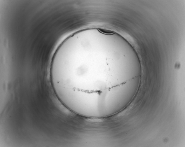 X0000103331296200809192155